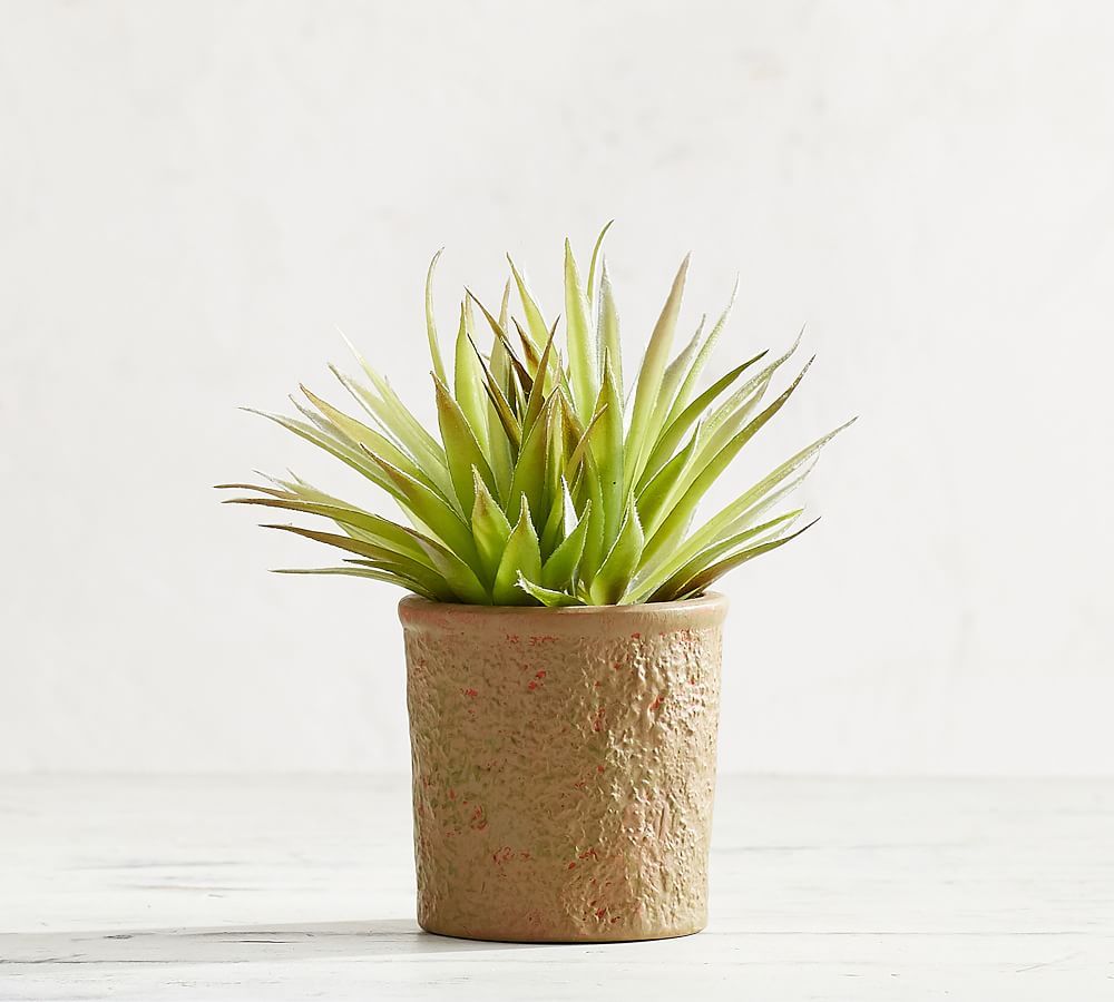 Faux Potted Spikey Succulent | Pottery Barn (US)