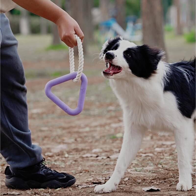 Interactive Tug-of-War Dog Toy Teeth Cleaning Rubber Chew Toy, Triangle - Purple | FunnyFuzzy Affiliate Program