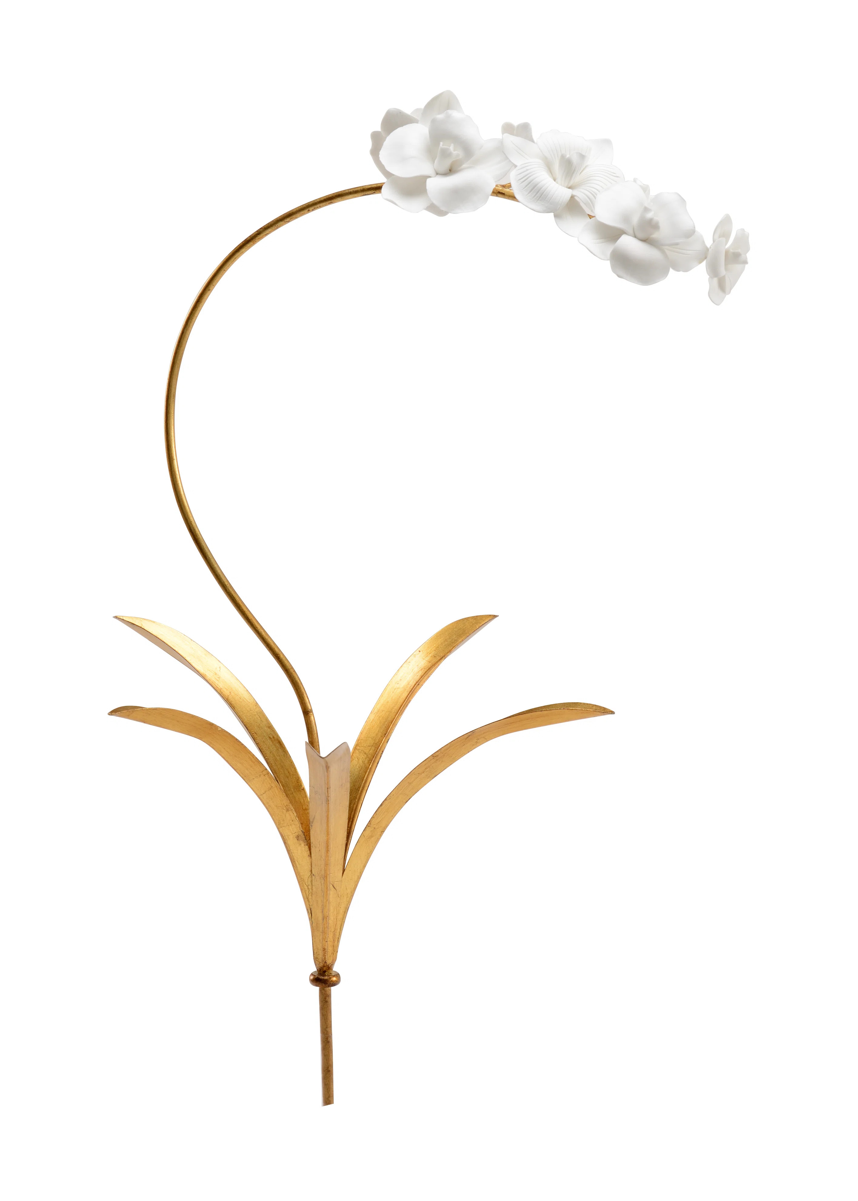 Garden Of Delights Ceramic Orchid Arrangement | Wayfair North America