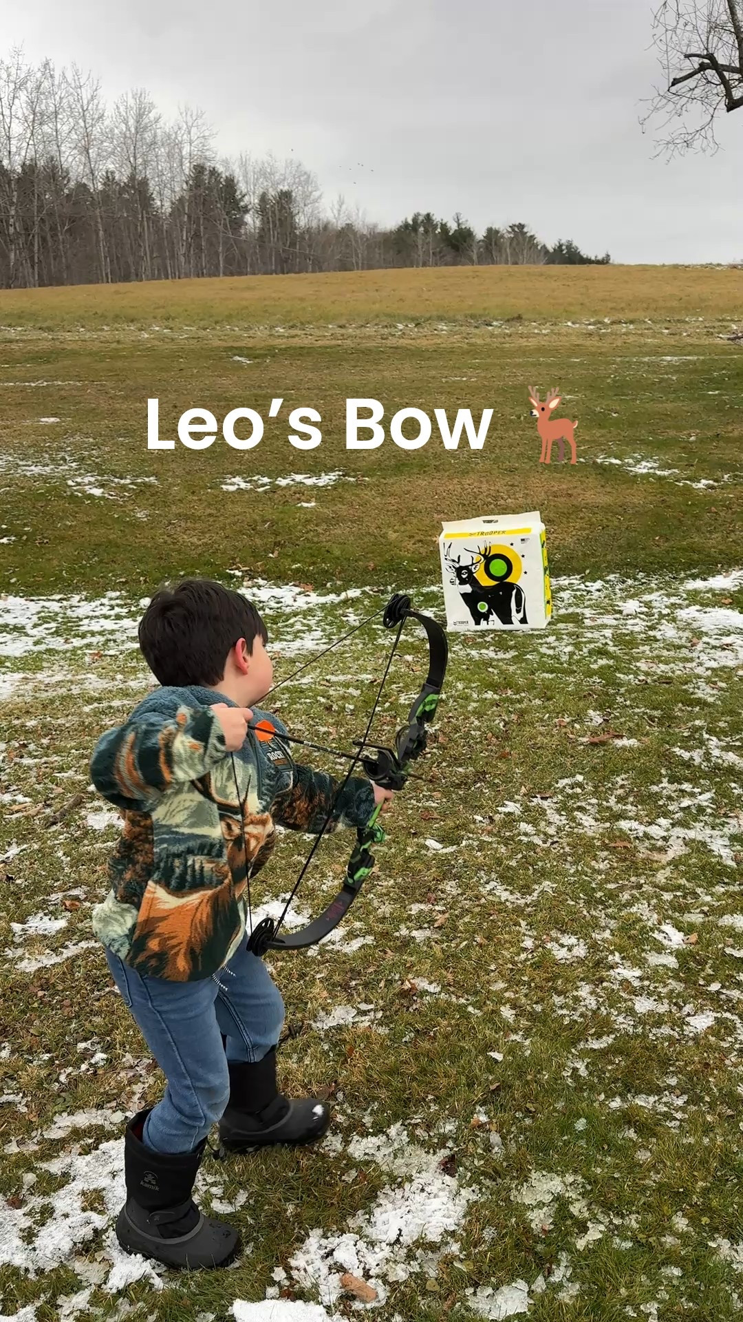 Leo’s Bow 🦌

#LTKHoliday #LTKGiftGuide