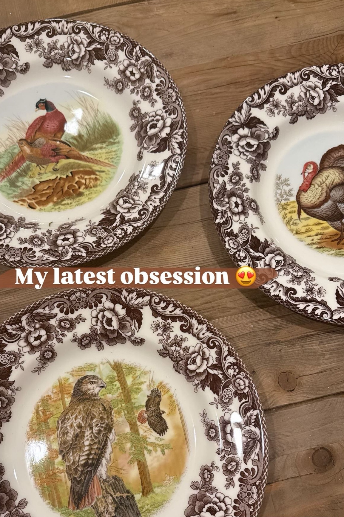 The most beautiful vintage-inspired timeless dishes! 

#LTKSeasonal #LTKHome #LTKFamily