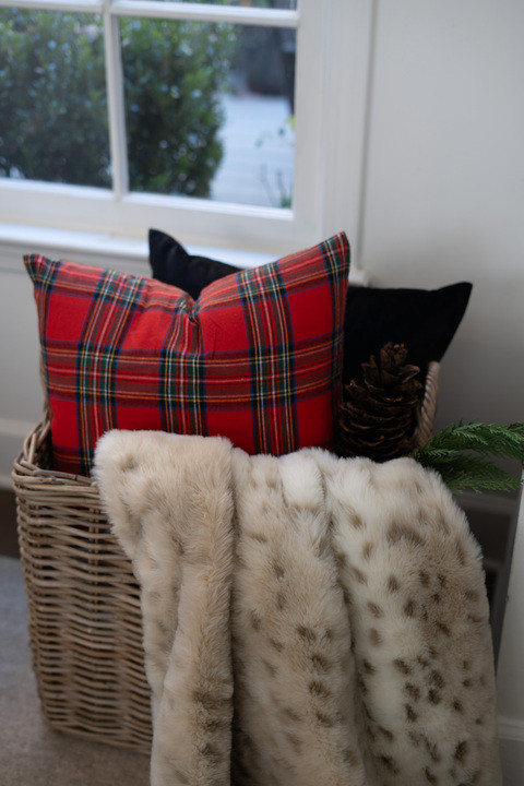  My kids voted for a touch of red this year…

& now I can’t wait for everyone to be together this year! 😭 

#houseofvalentina #amazonhome #christmasdecor #christmasdecorations #ralphlauren #ralphlaurenchristmas #ralphlaurenhome @article @potterybarn @ralphlaurenhome @ralphlauren #amazonhomefinds @potterybarnoutletga @jamieyoungco @hmhome @thehouseofvalentinaliving @thehouseofvalentina



#LTKHoliday #LTKHome #LTKSeasonal