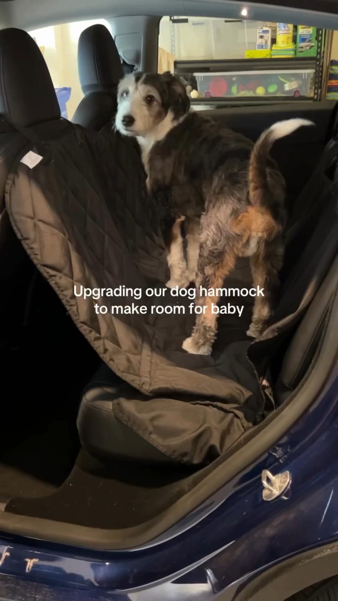 He might be our fur-st baby but he’s gotta give up a little of the backseat 😂 this is perfect and there’s space between this hammock and the car seat. I also love that the bottom is study compared to the super loose bottom of our old one. 🔗 in my Amazon storefront and LTK !! #doghammock #dogsandbabies #preppingforbaby #carseat #pregnant