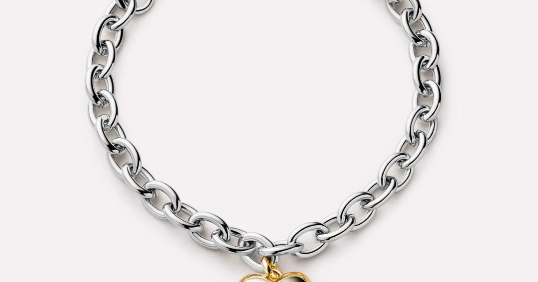 Lev Bracelet Two Tone | Ana Luisa