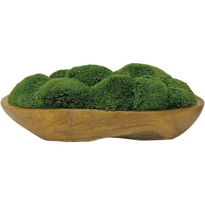 Uttermost Kinsale Green Moss 19" Wide Centerpiece in Natural Wood Bowl | Target
