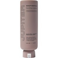 Jupiter Nourishing Conditioner 14 fl oz | Dermstore (US)