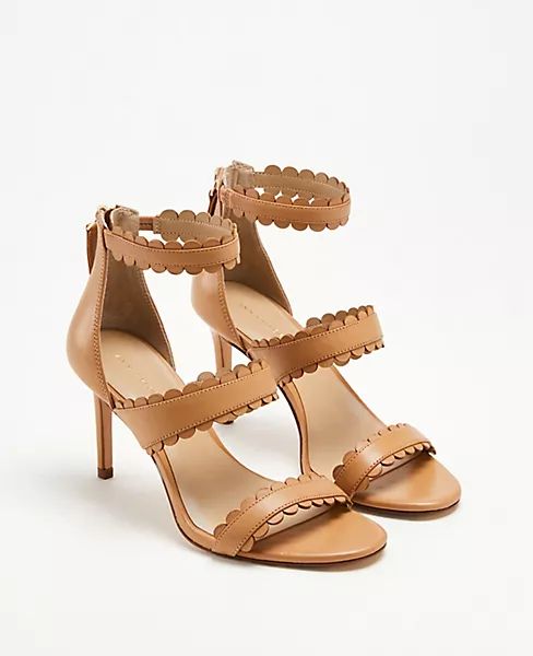 Raina Scalloped Leather Heeled Sandals | Ann Taylor (US)