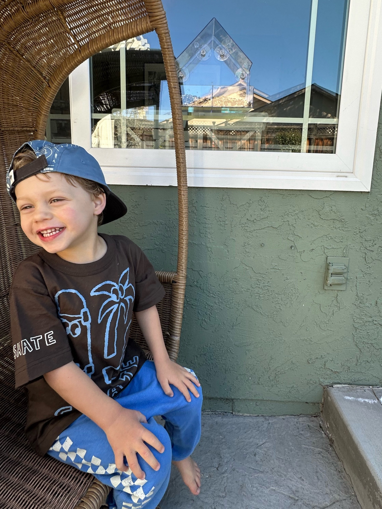 Found this suction bird feeder at the target dollar spot (can't link online!) but linking similar ones here!

#LTKkids #LTKhome #LTKfamily