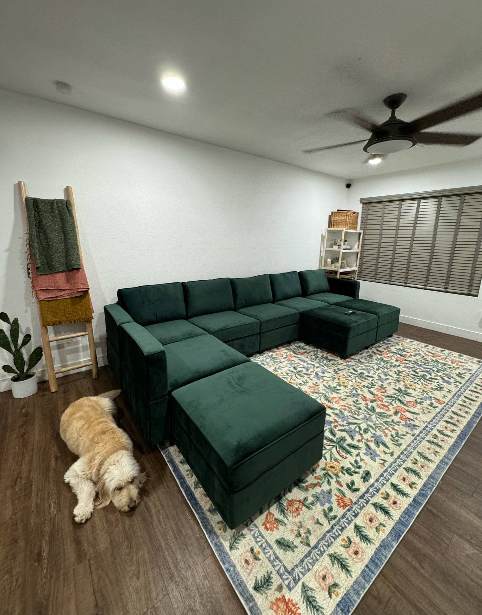 Living room refresh! 🌸🌼

#LTKhome #LTKsalealert