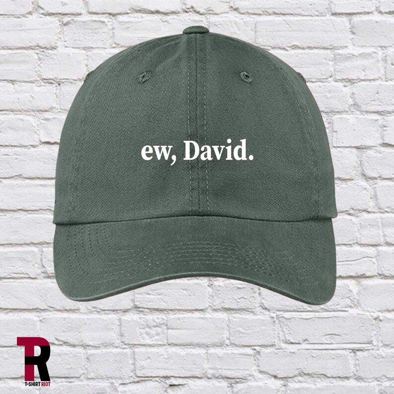 Ew David. Schitt's Creek Low Profile Garment Washed Hat  | Etsy | Etsy (US)