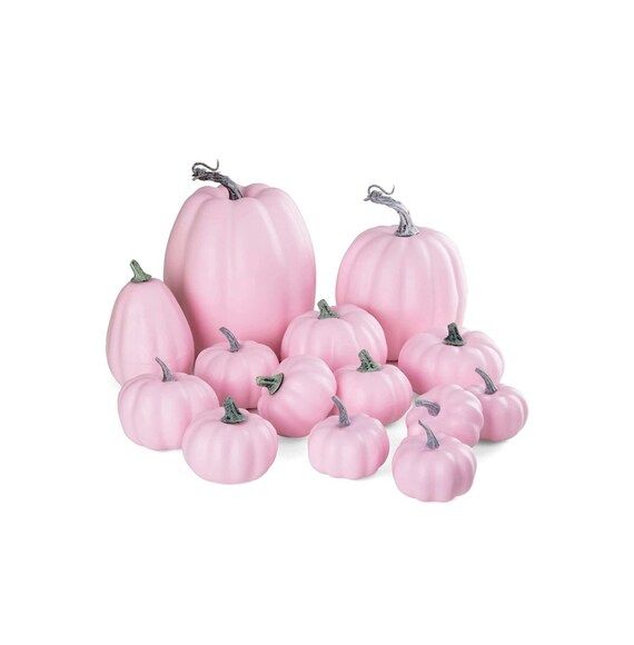 Pink pumpkins, Fall home decor, Pink Halloween decorations, Fall craft supplies, Fall wreath atta... | Etsy (US)