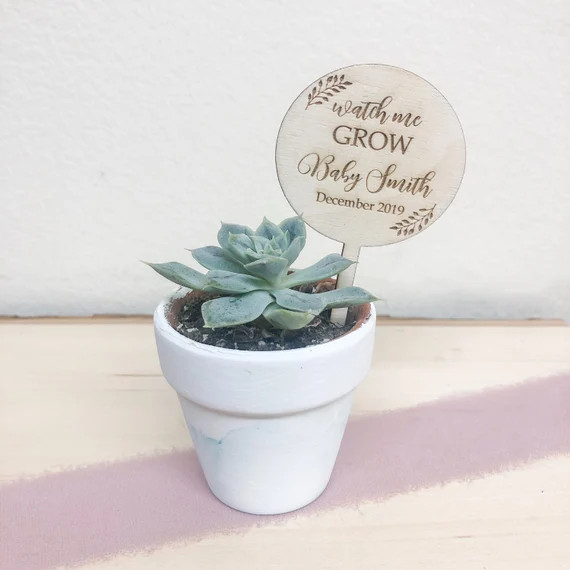 Watch Me Grow Succulent Tags | Baby Shower Favors | Succulent Tags |Watch Me Grow Favor Tags |Wat... | Etsy (US)