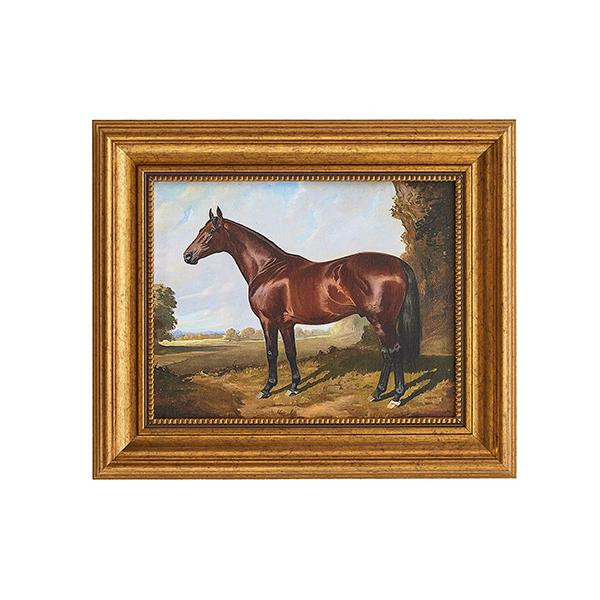 Stallion Landscape | Caitlin Wilson Design