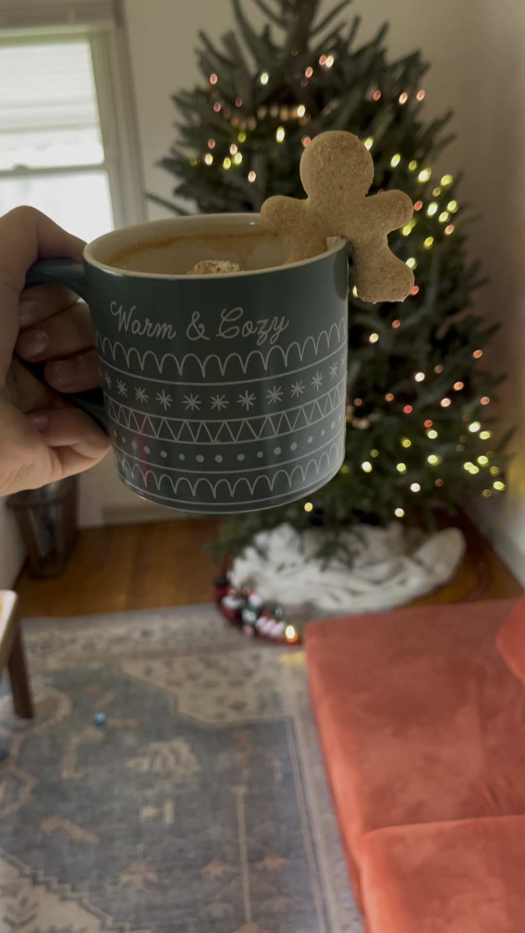 christmas train and christmas mug are both target!!