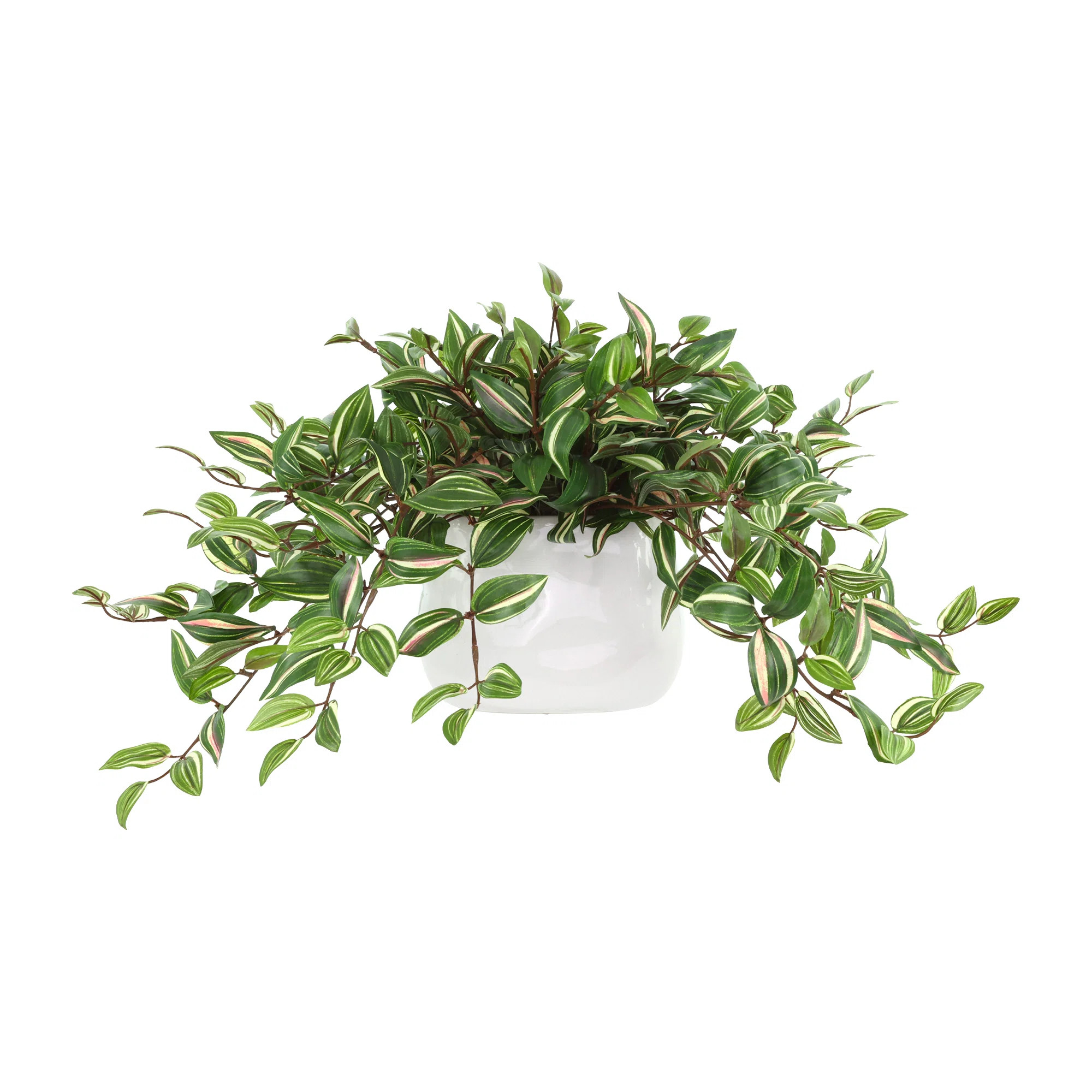 Karas Faux Tradescantia Plant in Ceramic Vase | Wayfair North America