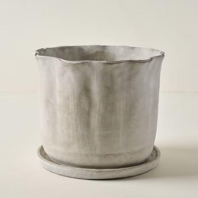 Alice Scalloped Cement Planter | Magnolia