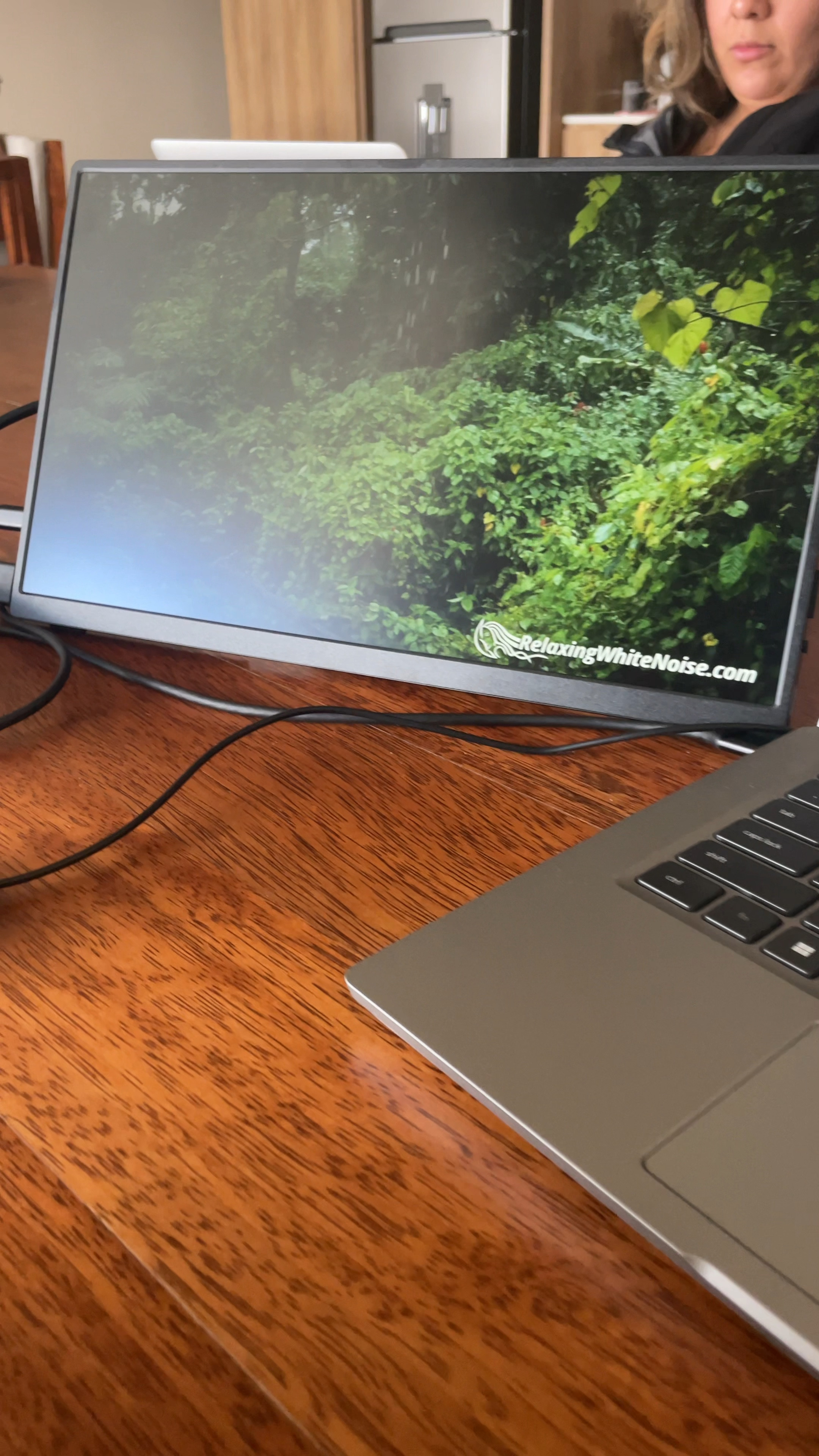 Ultimate gift for your traveling friend or remote co-worker. This 15 inch monitor slide shut and lays flat, comes with a padded case, single plug to connect. I’ve linked options at all price points from 15-18 inches.

#LTKGiftGuide #LTKVideo #LTKtravel