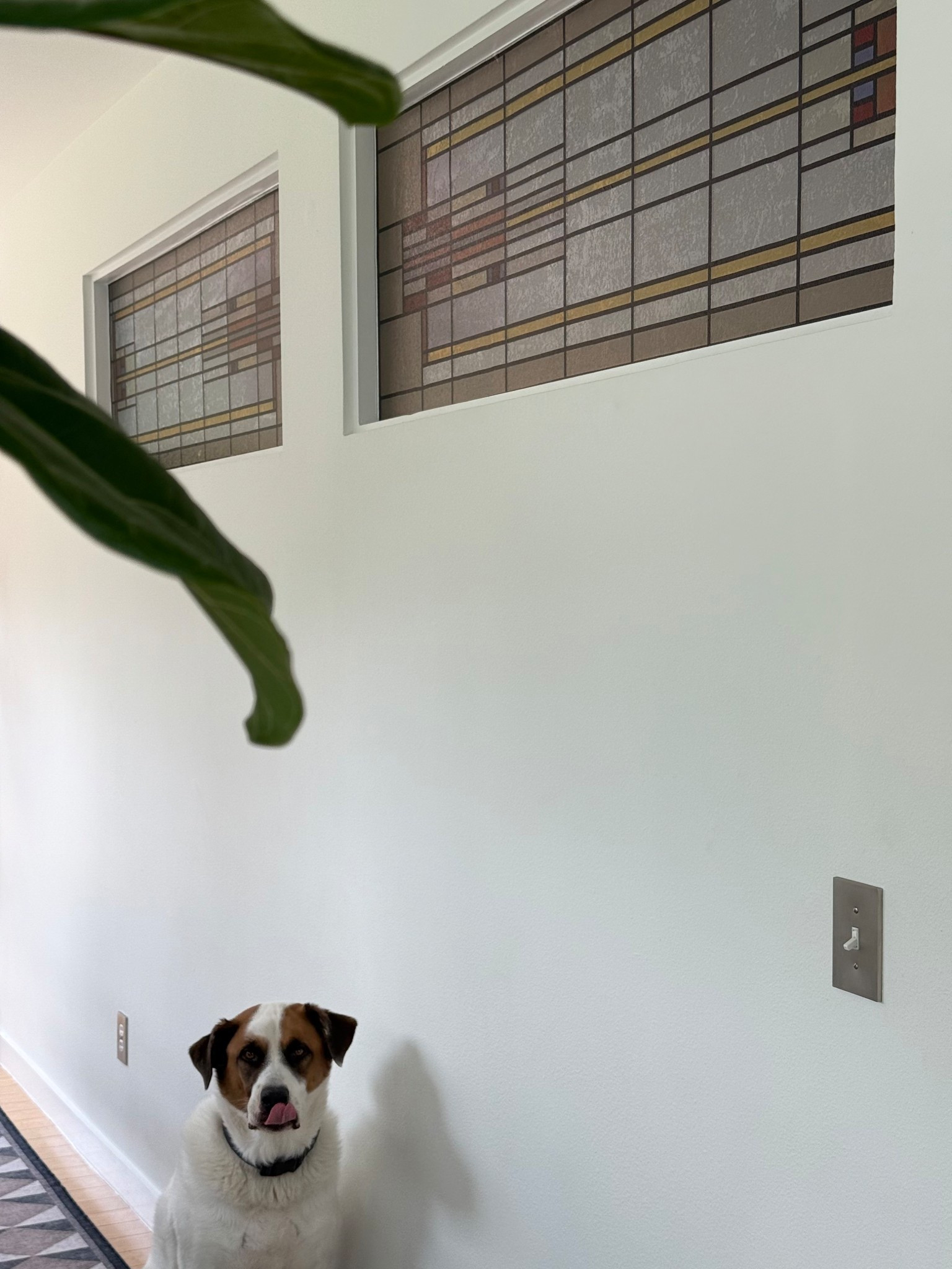 Need privacy or have an awkward window you don’t know what to do with? Or maybe you just really want some stained glass at home, but its too pricey? Get you some cute window film, easy to install and it comes in so many different sizes and designs. 

#LTKHome #LTKFindsUnder100 #LTKFindsUnder50