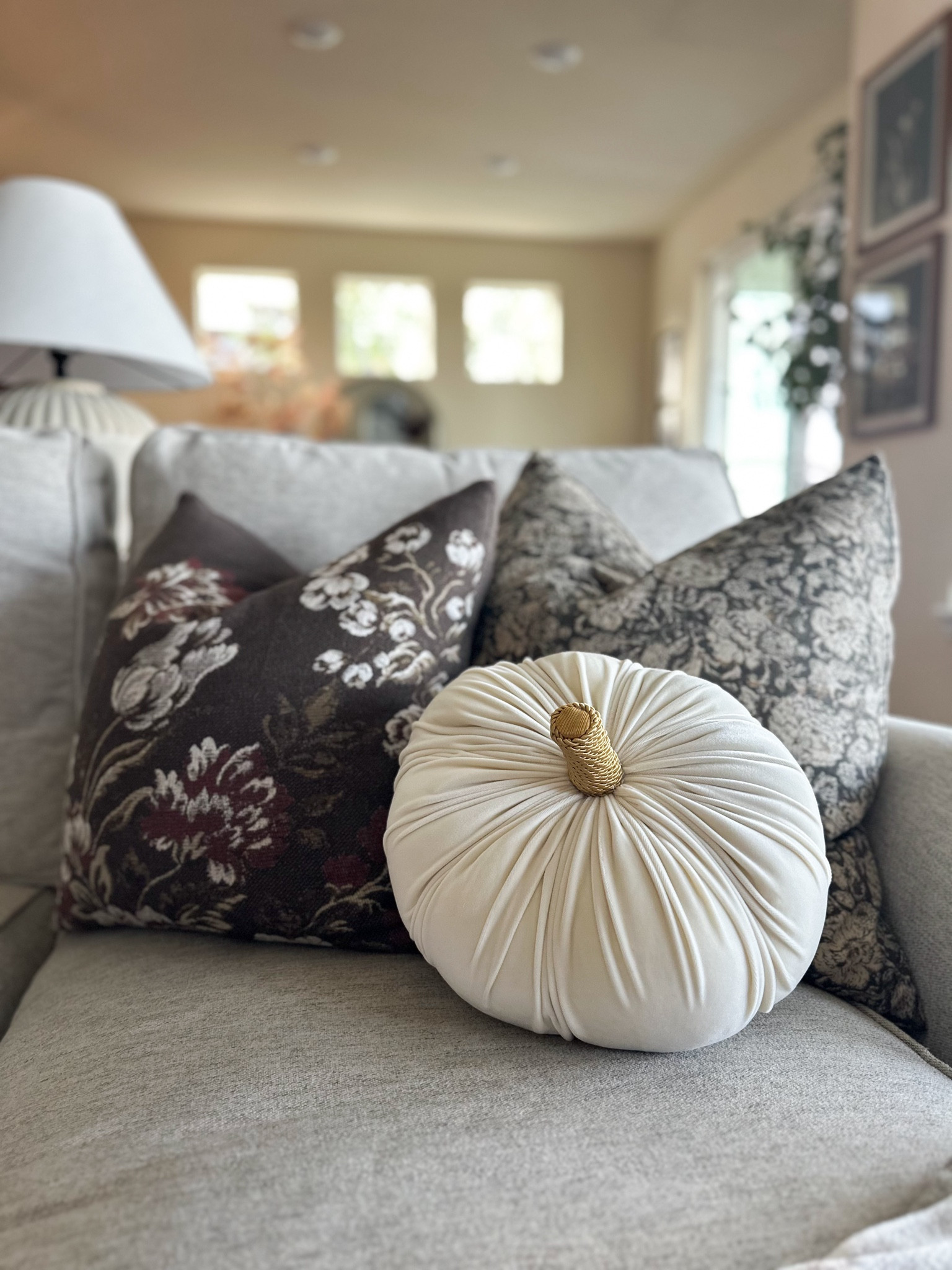 Target pillows

#LTKHome #LTKSeasonal