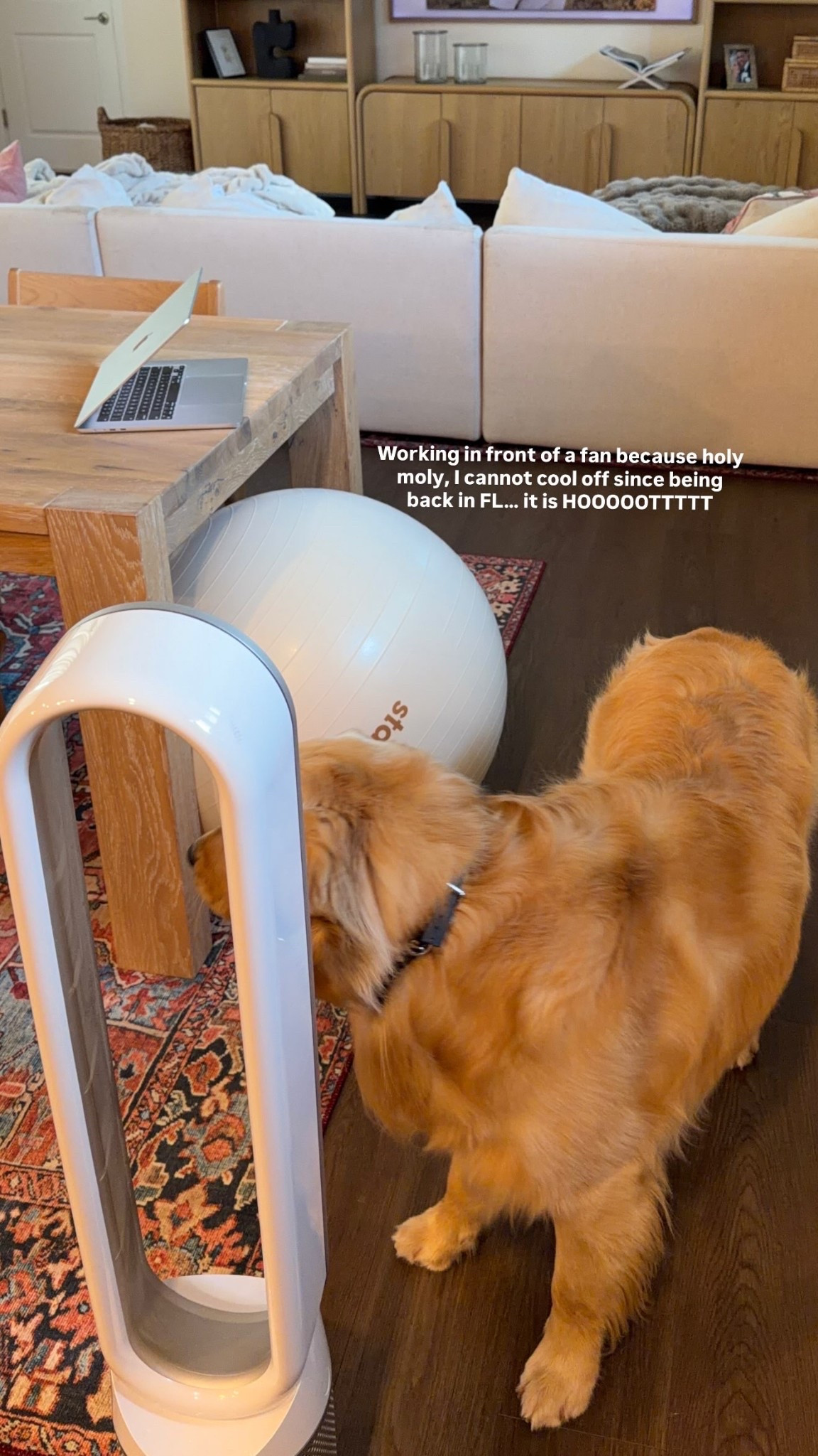 Working in front of a fan because holy moly, I cannot cool off since being back in FL… it is HOOOOOTTTTT

#LTKBump #LTKmomlife