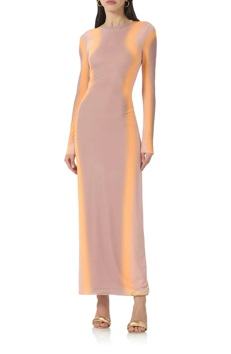 AFRM Didi Long Sleeve Mesh Maxi Dress | Nordstrom | Nordstrom