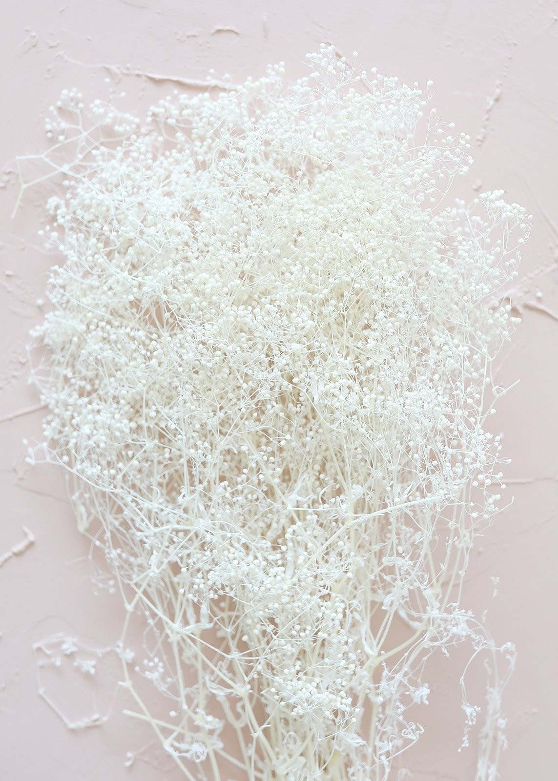 Preserved Million Star Gyp Flowers in White - 24-26" Tall | Afloral (US)