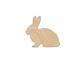 Rabbit Wood Cutouts for crafts, Laser Cut Wood Shapes 5mm thick Baltic Birch Wood, Multiple Sizes Av | Amazon (US)