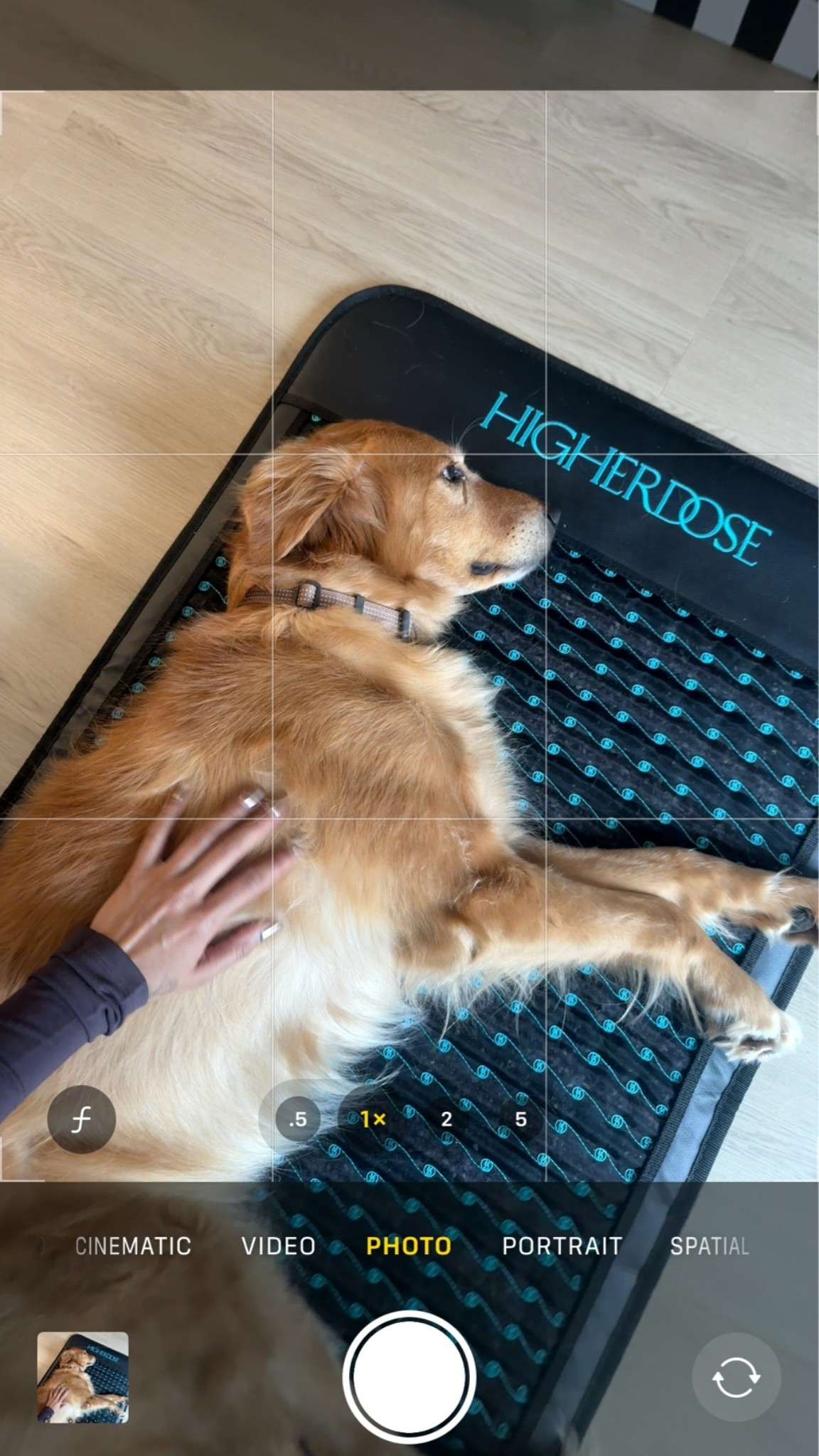 Kona’s all about his self care routine

#LTKselfcare #LTKgrwm #LTKmorningroutine