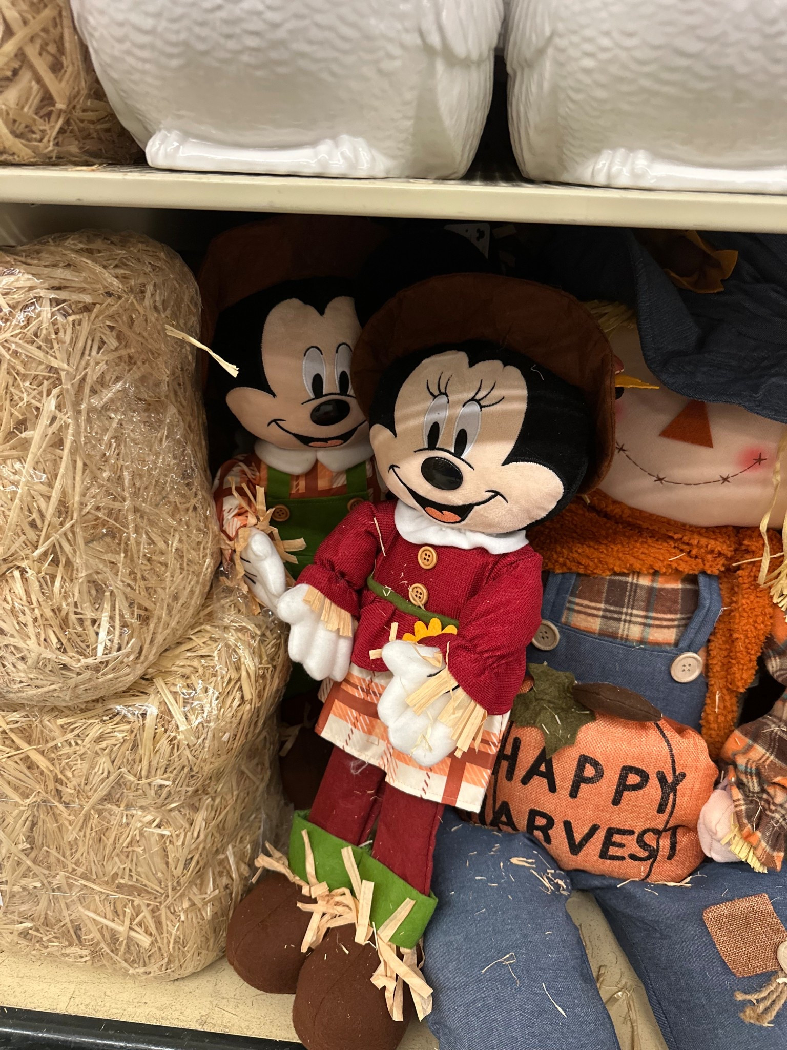 Fall Decor Shopping #LTKHalloween

#LTKSeasonal #LTKHome