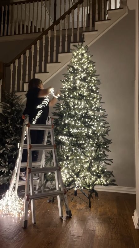 My new lighting recipe is one cluster light deep in the tree on the trunk in a zig zag pattern.  Then, add three 73.8 foot snake lights on the outside of the branches in a zig zag pattern.  This means you will have added 4,500 fabulous warm white lights!

#LTKhome #LTKSeasonal #LTKHoliday