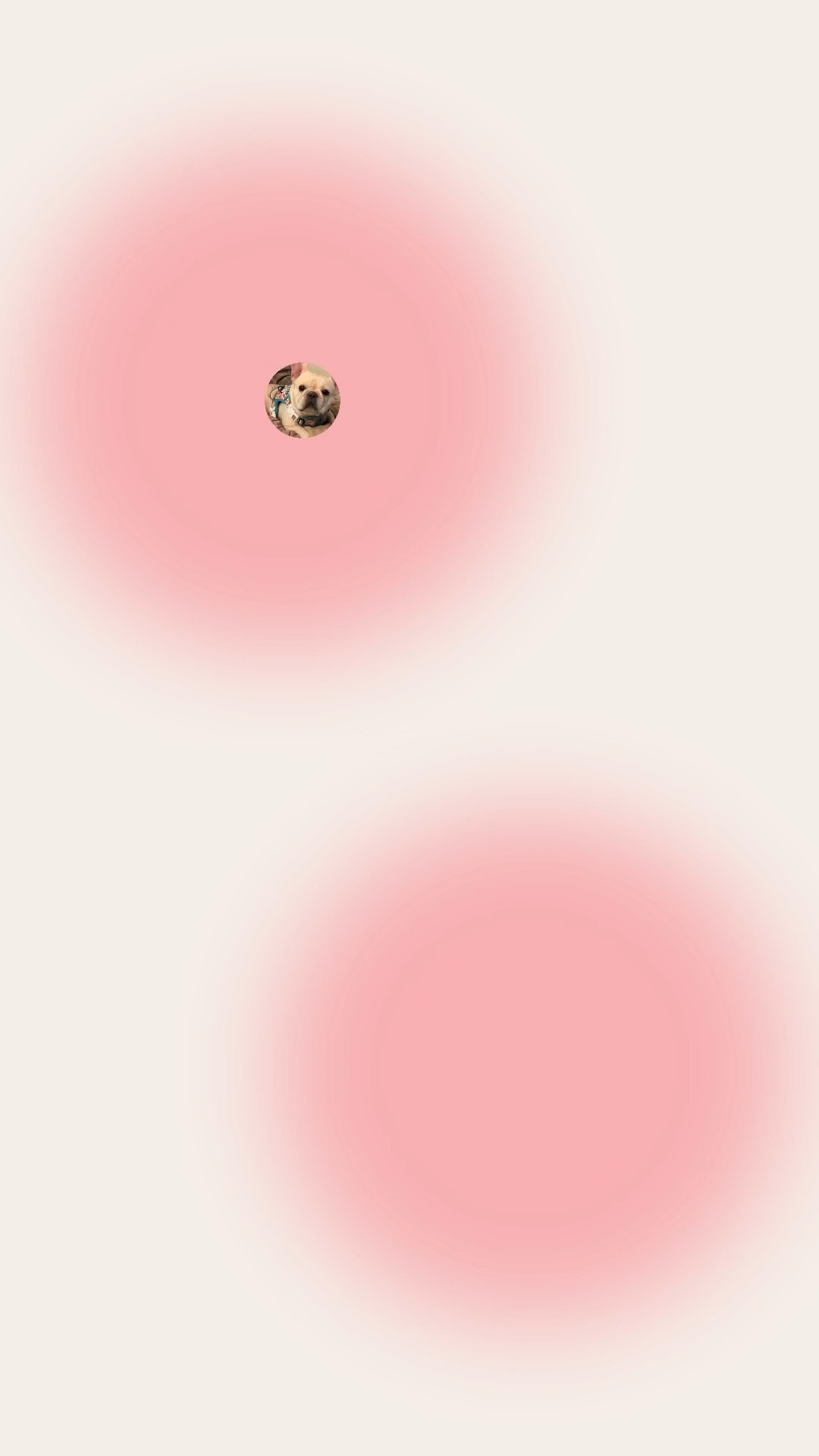 Love my girl Zoe. She is such a important part of our family #frenchbilldog

#LTKdayinmylife