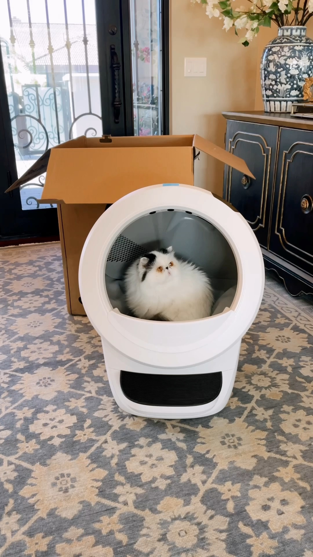 Hello Furriends! Ollie speaking... my mom is pregnant and that means she can’t clean up our little presents anymore! She got us @thelitterrobot and everyone in the house is LOVING it! Highly recommend 10/10!!! It cleans immediately after our bathroom breaks keeping odors away but also notifies Mom & Dad on an app how many times we went so they can track of our health.

Click the link in my bio to check it out! #litterrobot tags: cat accessories, pet parent

#LTKFamily #LTKHome