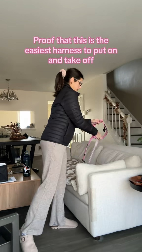 We love anything that makes walkies easier 

 #LTKdayinmylife #LTKfitnessgoals #LTKmorningroutine