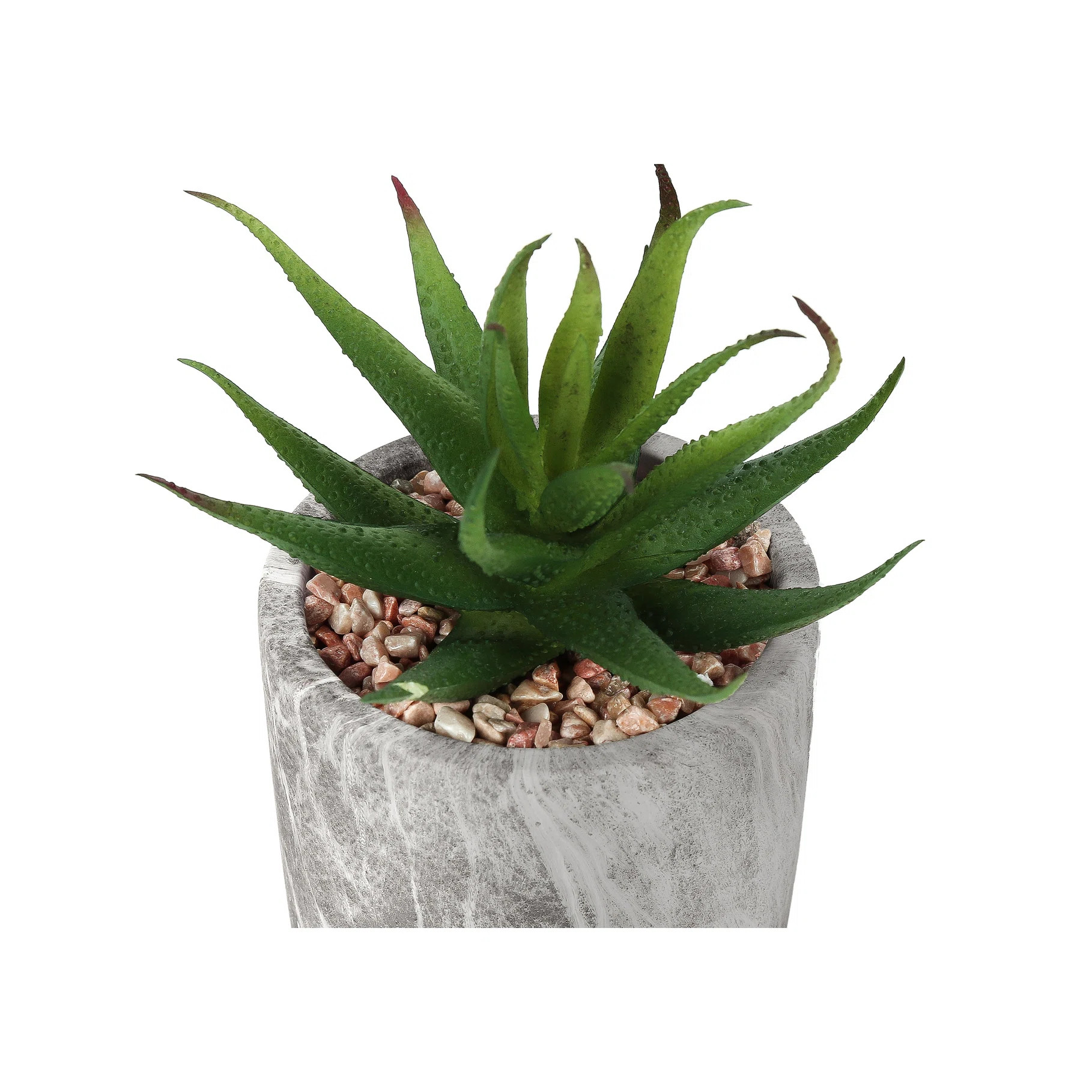 6" High Artificial Succulent Plant Of 2, Faux Greenery In Grey Cement Pots For Space Allure 2 Ind... | Wayfair North America