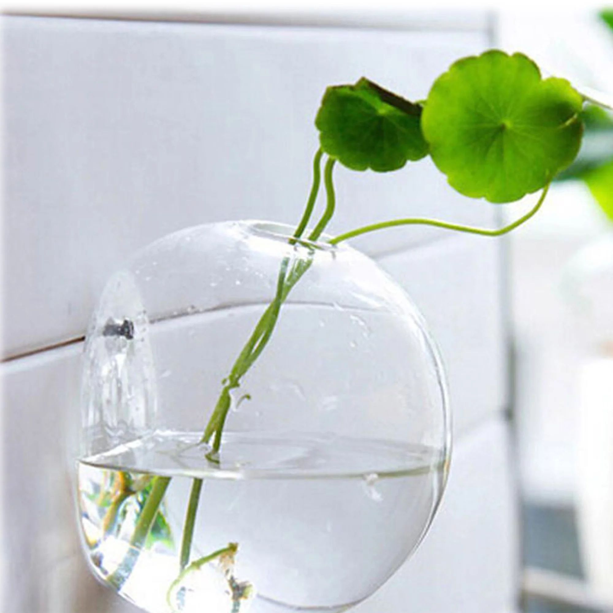 Zoiuytrg Hanging Flower Pot Glass Ball Vase Terrarium Wall Fish Tank Aquarium Container | Walmart (US)
