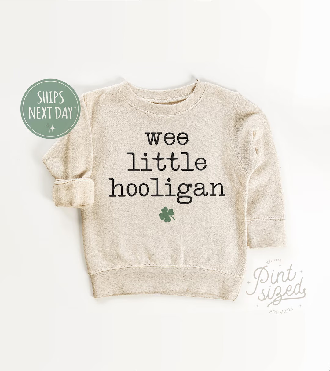 Wee Little Hooligan Toddler Sweatshirt St Patrick's Day Kids Pullover Vintage Natural Crew Neck -... | Etsy (US)