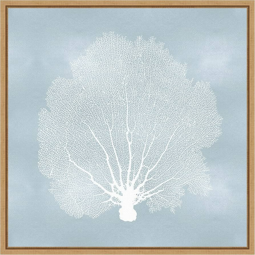 Amanti Art Framed Canvas Wall Art Print Sea Fan on Aqua II by Melonie Miller (16 in. W x 16 in. H... | Amazon (US)