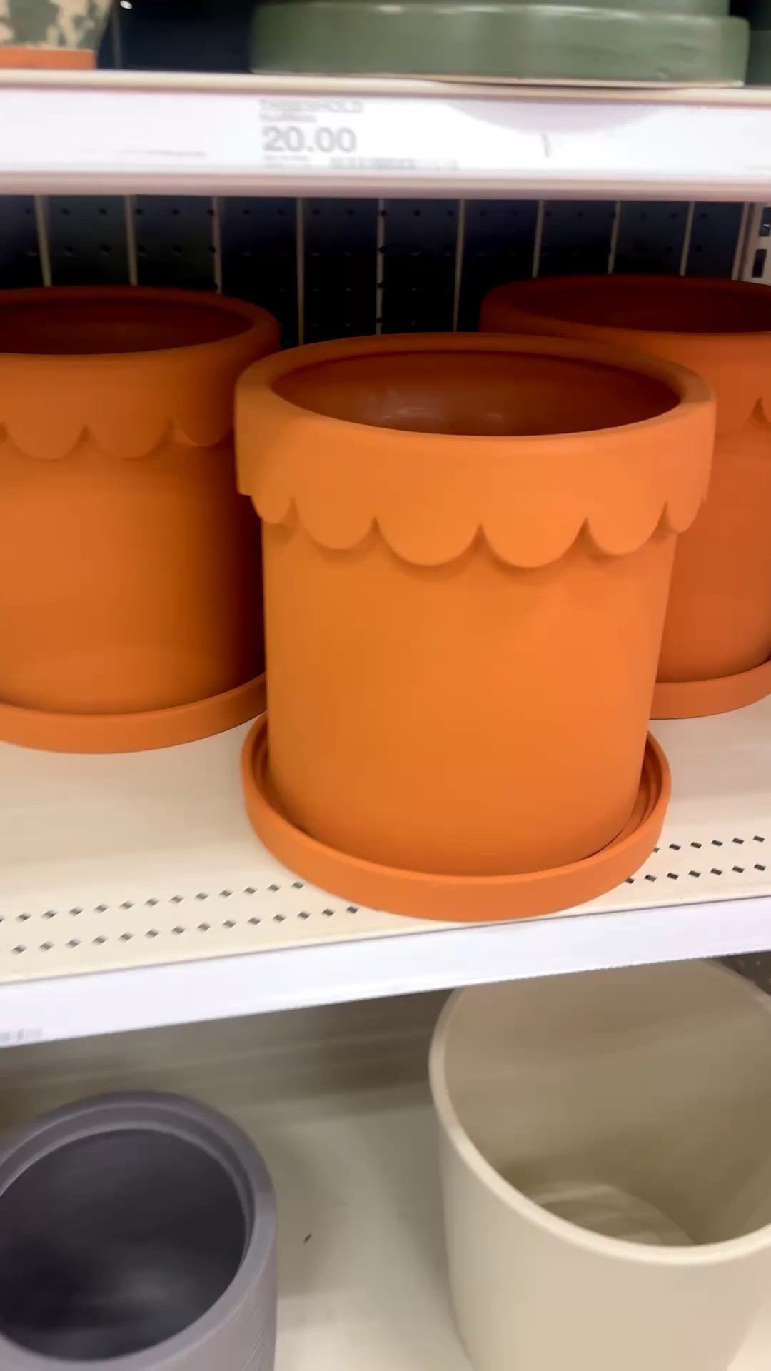 How cute are these scalloped terracotta pots from Target? 

These would be so cute indoors with your favorite house plant or a topiary.

It would also be perfect outdoors on a patio or porch with a favorite plant.

And they would be a great gift for your plant loving friends.

flower pot • plant pot • planter • scallop edge • 


#LTKHome #LTKSeasonal