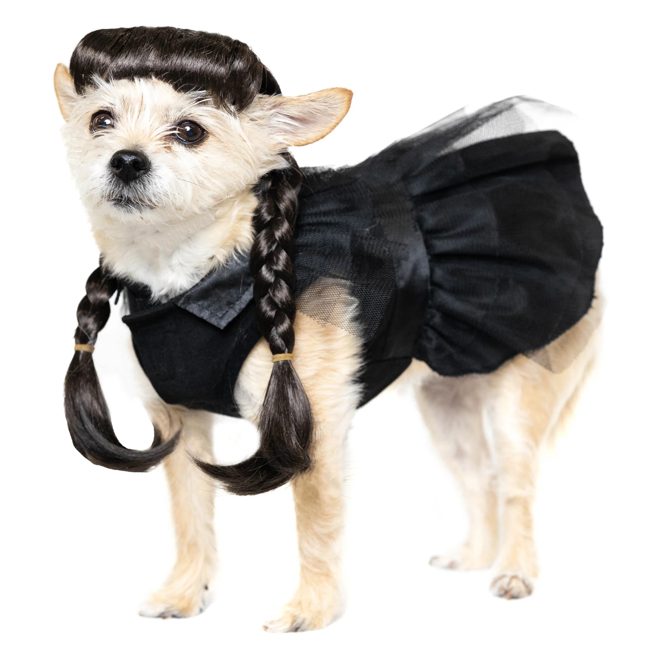 Vibrant Life Halloween Gothic Girl Costume for Dogs and Cats, Black, Extra Small | Walmart (US)
