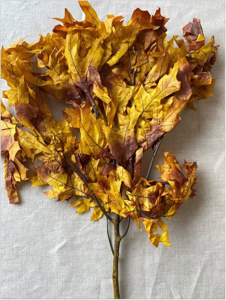 Preserved Fall Oak Leaves l Dried Autumn Leaves for Crafts and Decoration | Preserved Oak Leaves ... | Amazon (US)