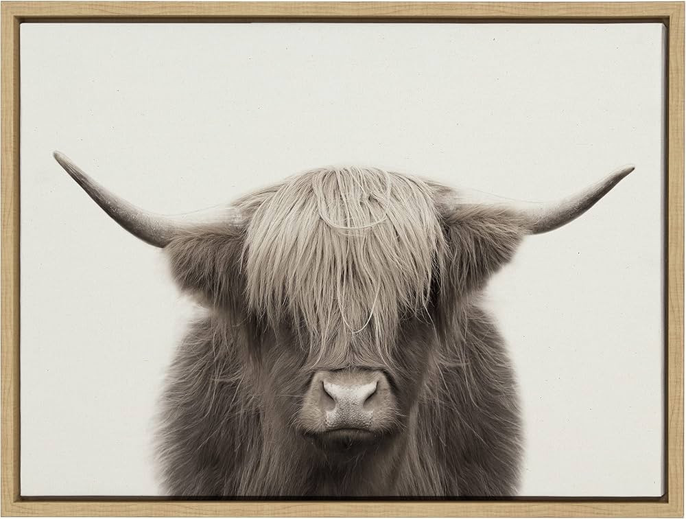 Kate and Laurel Sylvie Hey Dude Highland Cow Color Framed Linen Textured Canvas Wall Art by The C... | Amazon (US)