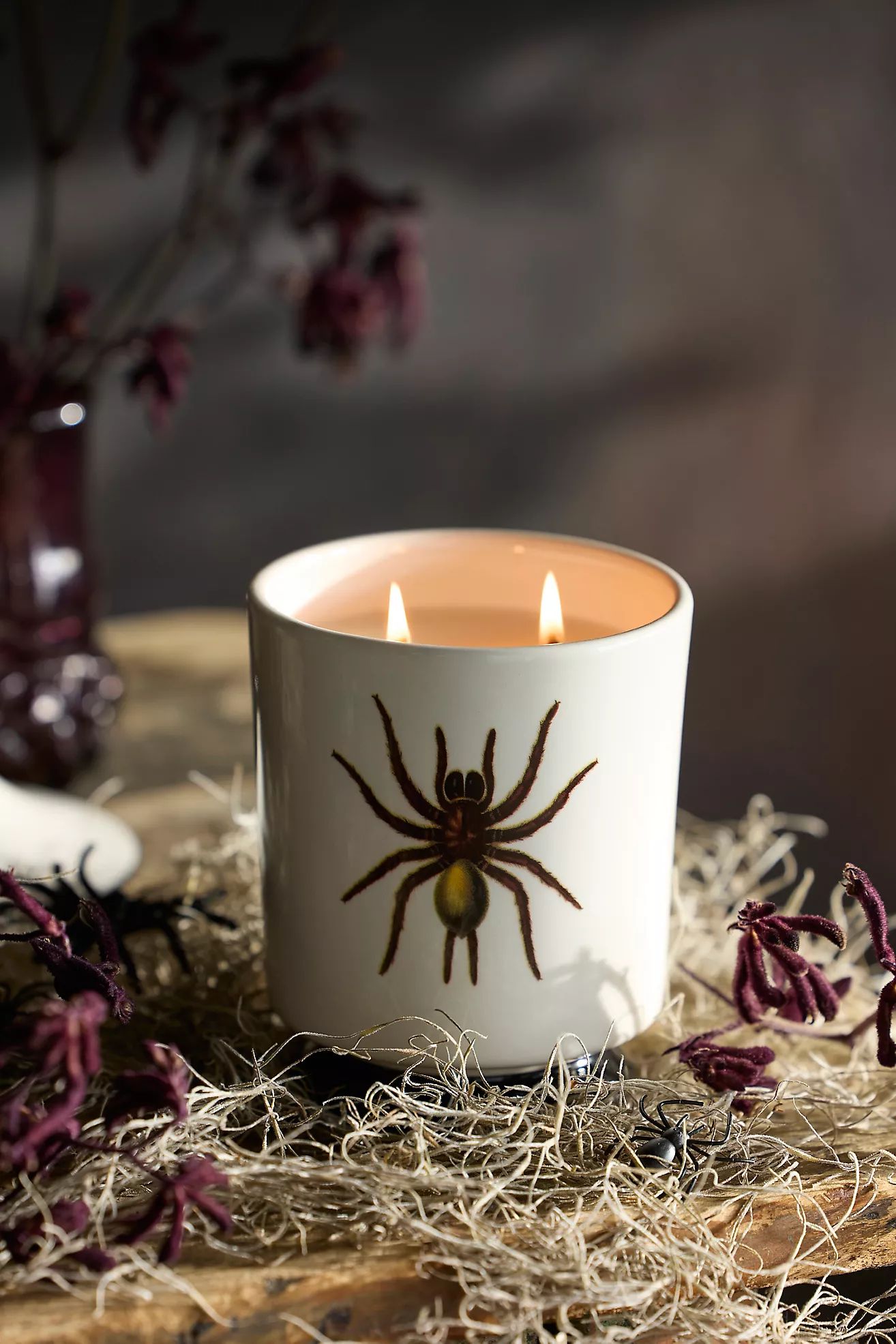 Spider Jar Candle, Nocturnal Rituals | Anthropologie (US)