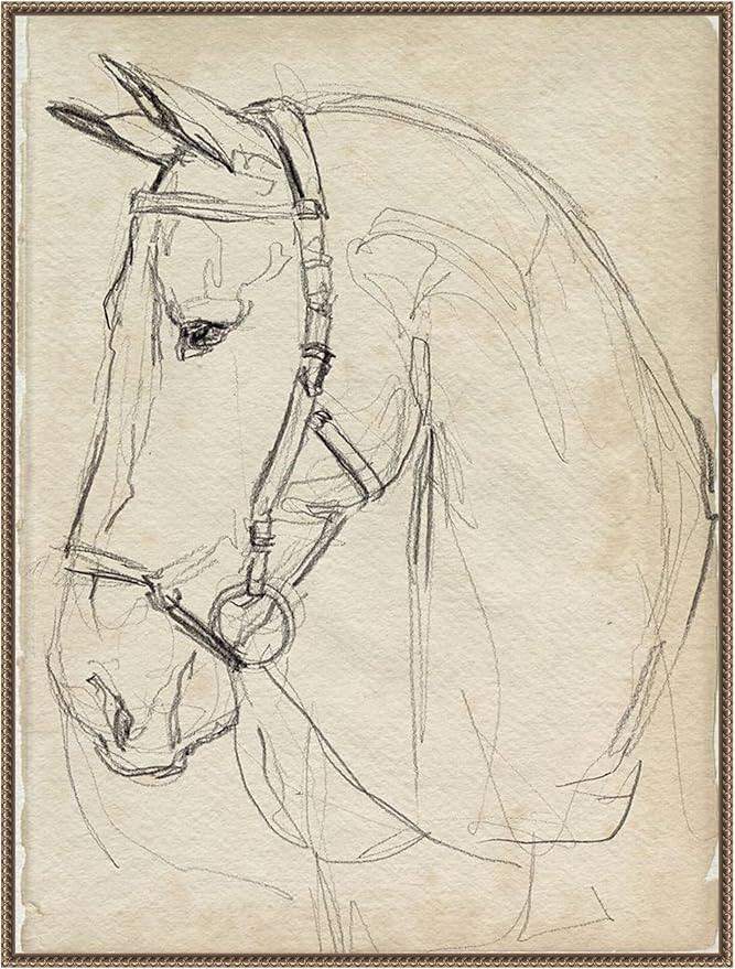 Amanti Art Framed Canvas Wall Art 42x32 Horse in Bridle Sketch II by Jennifer Paxton Parker, Fram... | Amazon (US)