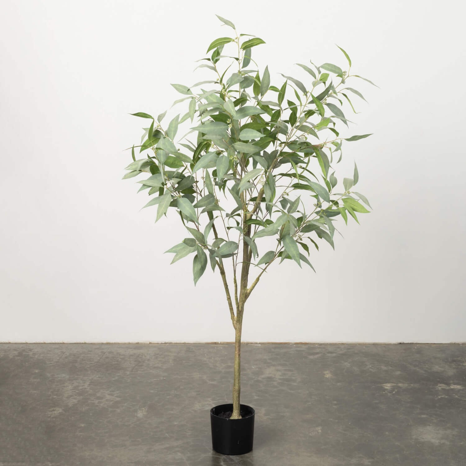 65" Eucalyptus Tree | The Nested Fig