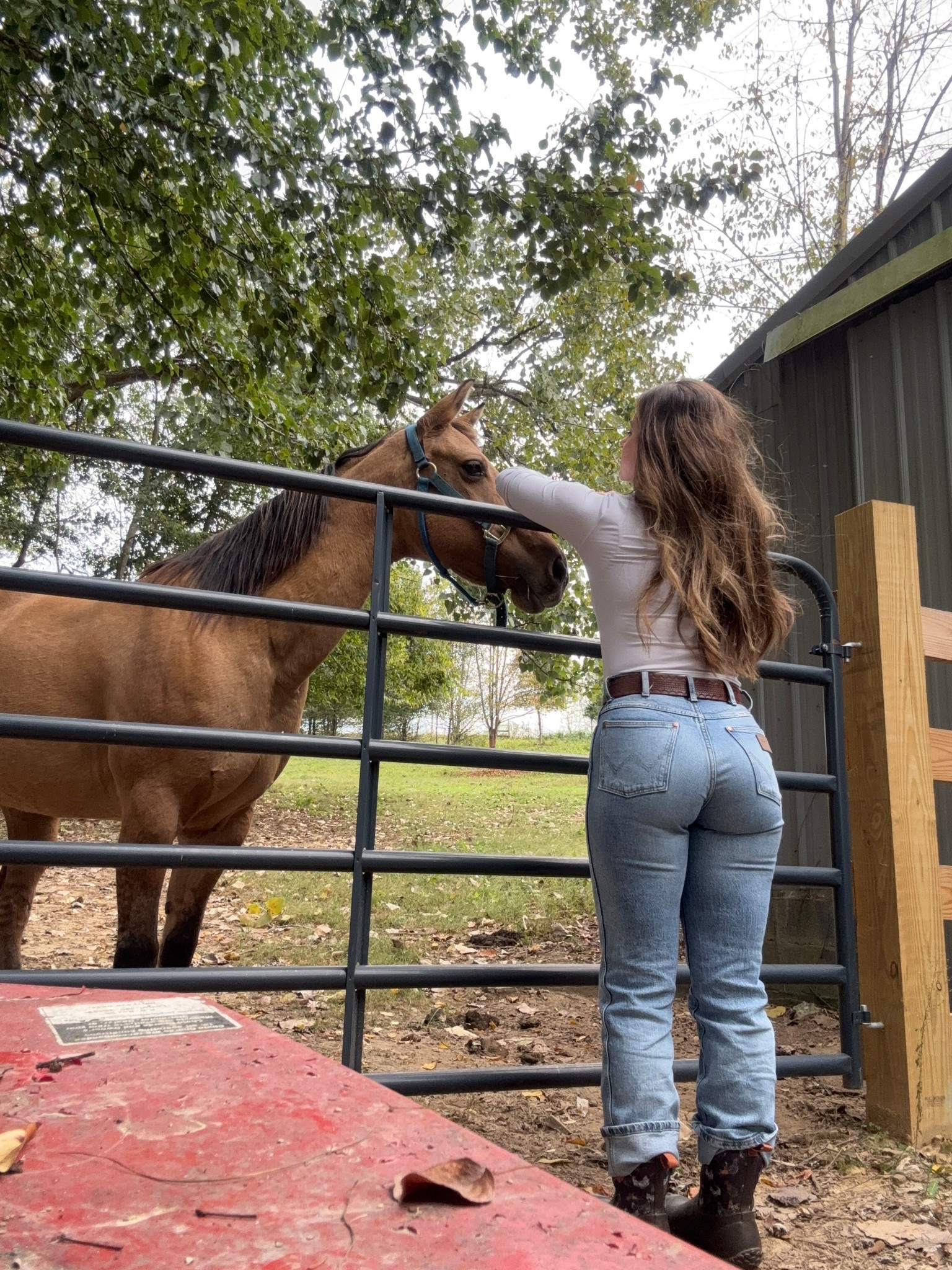 Fall farm day

#LTKActive #LTKPets #LTKSeasonal