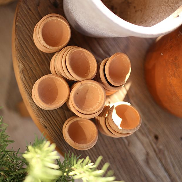 Clay Seedling Pots With Crate | Antique Farm House