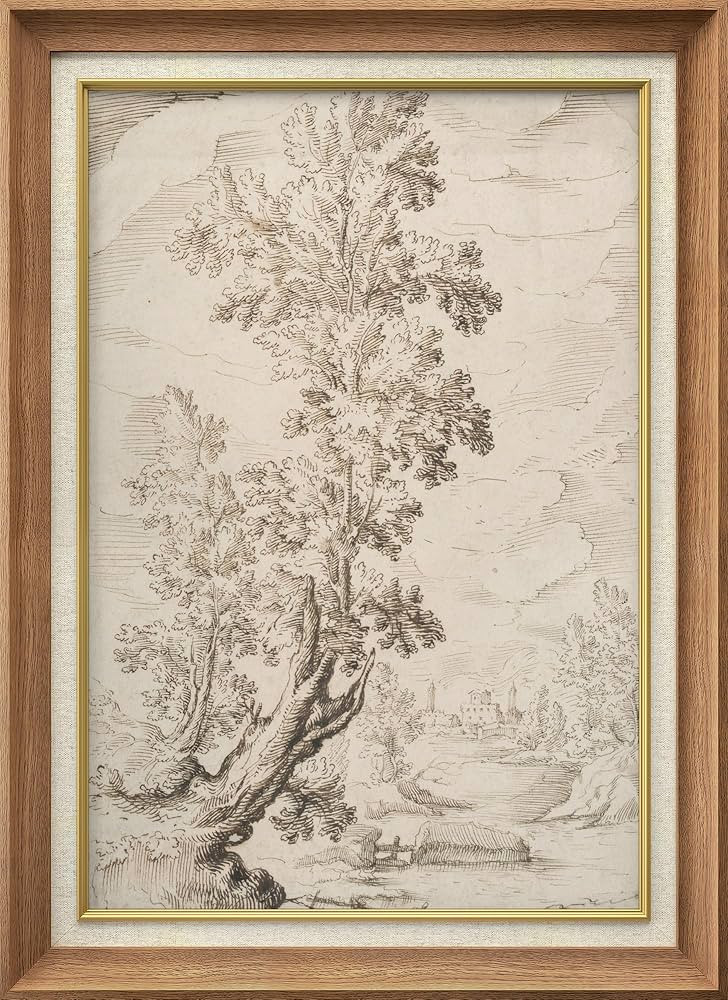 SIGNWIN Premium Frame Art Vintage-Inspired Tall Tree InkNatural Landscape Drawing Illustrations F... | Amazon (US)