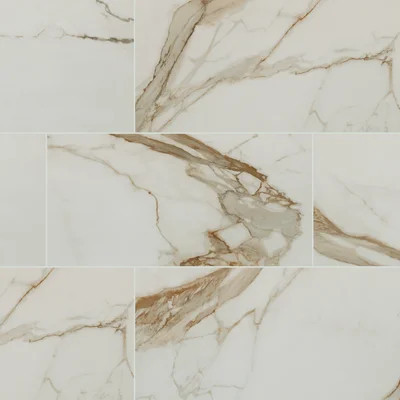 Palazza 24 in. x 48 in. Polished Porcelain Marble Look Floor and Wall Tile | Wayfair North America