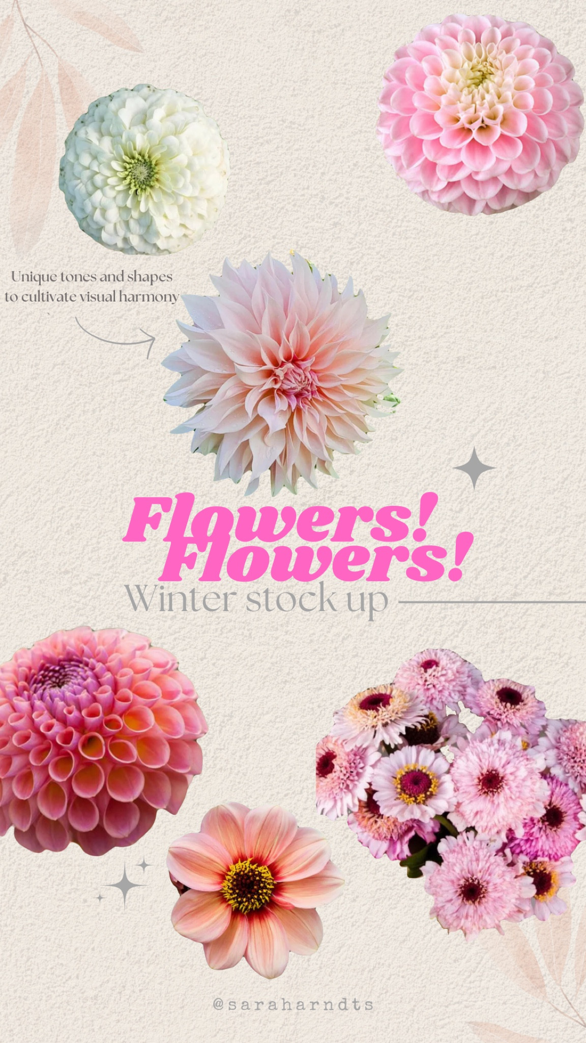 These are the flowers I just stocked up on 🌚 I’ll store them in a dark, cool place & begin to garden in the spring weather ✨

#LTKU #LTKSeasonal #LTKHome