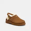 Sculpted C Platform Clog | Coach (US)